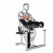 Preacher Curl (Dumbbell)