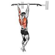 Pull Up (Weighted)
