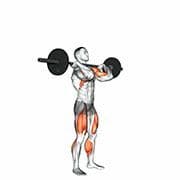 Push Press