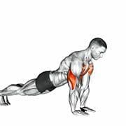 Push Up - Close Grip
