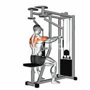 Rear Delt Reverse Fly (Machine)