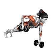 Renegade Row (Dumbbell)
