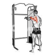 Reverse Fly Single Arm (Cable)
