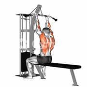 Reverse Grip Lat Pulldown (Cable)