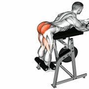Reverse Hyperextension