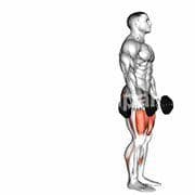 Reverse Lunge (Dumbbell)