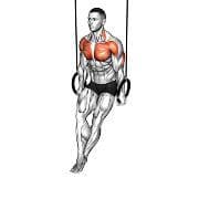 Ring Dips