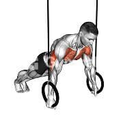 Ring Push Up