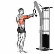 Rope Straight Arm Pulldown