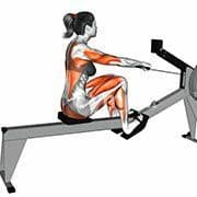 Rowing Machine
