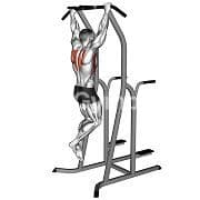 Scapular Pull Ups