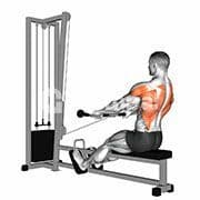 Seated Cable Row - Bar Grip