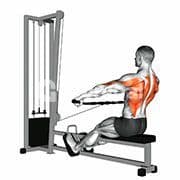 Seated Cable Row - Bar Wide Grip