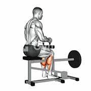 Seated Calf Raise