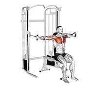 Seated Chest Flys (Cable)