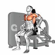 Seated Dip Machine