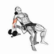 Seated Incline Curl