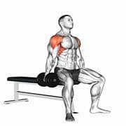 Seated Lateral Raise (Dumbbell)