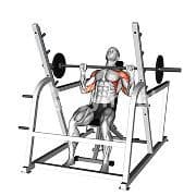 Seated Overhead Press (Barbell)