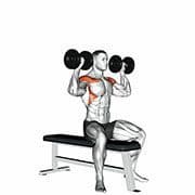 Seated Overhead Press (Dumbbell)