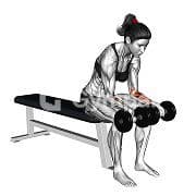 Seated Palms Up Wrist Curl