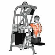 Seated Row (Machine)