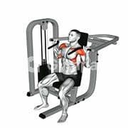 Seated Shoulder Press (Machine)