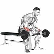 Seated Wrist Extension (Barbell)