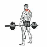 Shrug (Barbell)