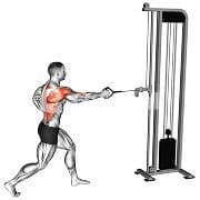 Single Arm Cable Row