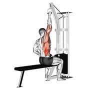 Single Arm Lat Pulldown