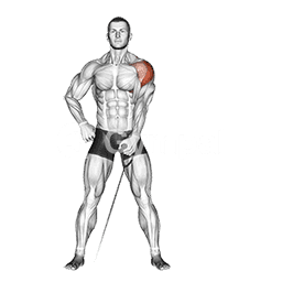 Single Arm Lateral Raise (Cable)