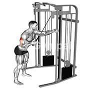 Single Arm Triceps Pushdown (Cable)