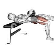 Single Leg Hip Thrust (Dumbbell)