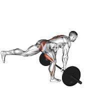 Single Leg Romanian Deadlift (Barbell)