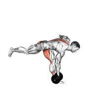 Single Leg Romanian Deadlift (Dumbbell)