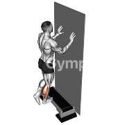 Single Leg Standing Calf Raise