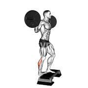 Single Leg Standing Calf Raise (Barbell)