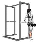 Single Leg Standing Calf Raise (Dumbbell)