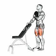 Sissy Squat (Weighted)