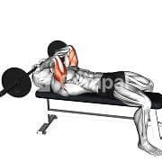 Skullcrusher (Barbell)