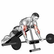 Spider Curl (Barbell)