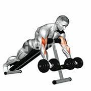 Spider Curl (Dumbbell)