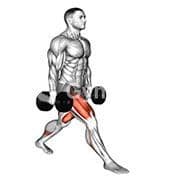 Split Squat (Dumbbell)