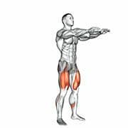 Squat (Bodyweight)