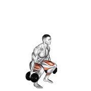 Squat (Dumbbell)