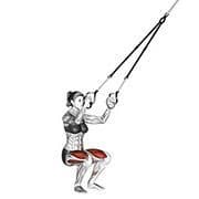 Squat (Suspension)