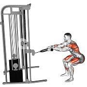 Squat Row