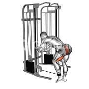 Standing Cable Glute Kickbacks