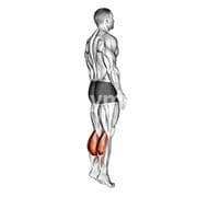Standing Calf Raise